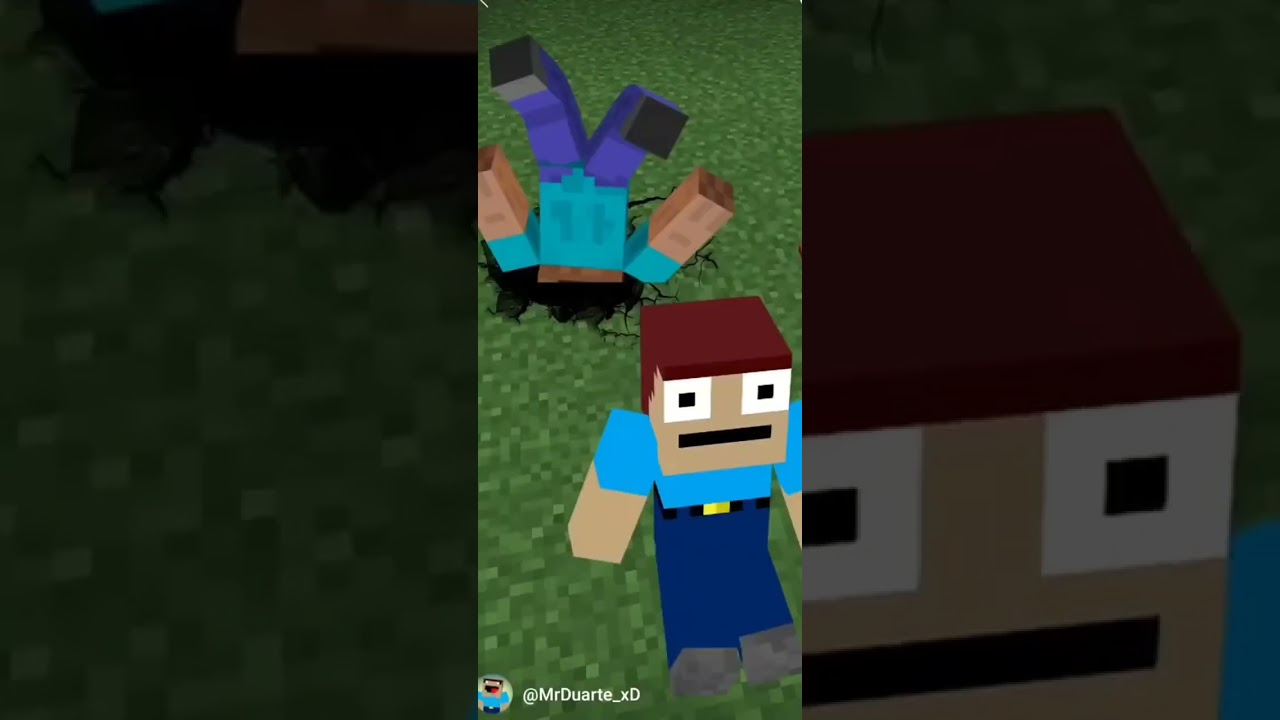 los shorts graciosos de mr Duarte (parte 2)