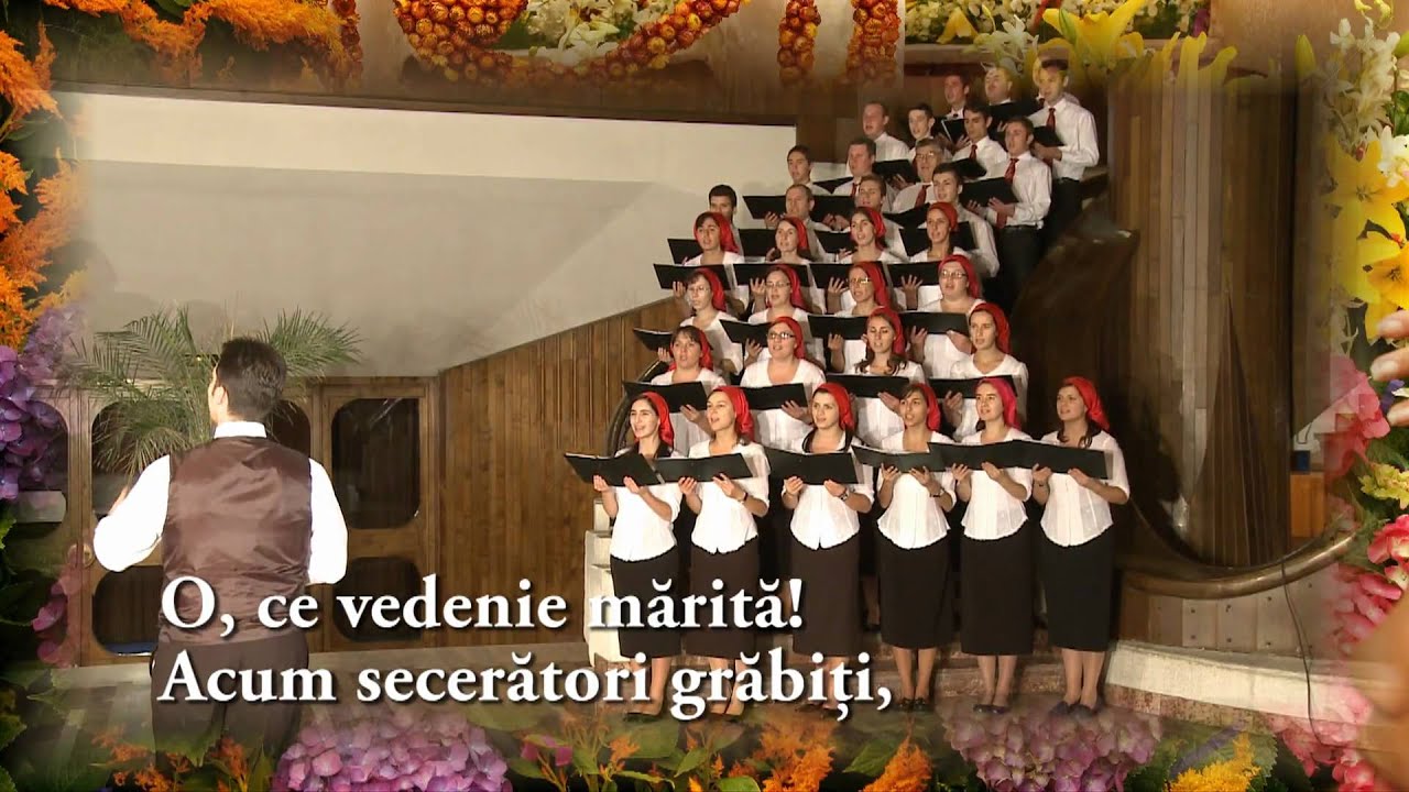 O, ce vedenie mareata