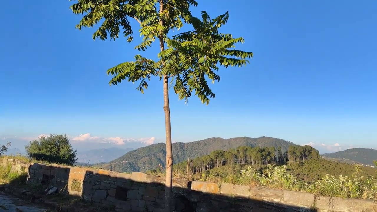 Banasur Fort or Banasur ka kila