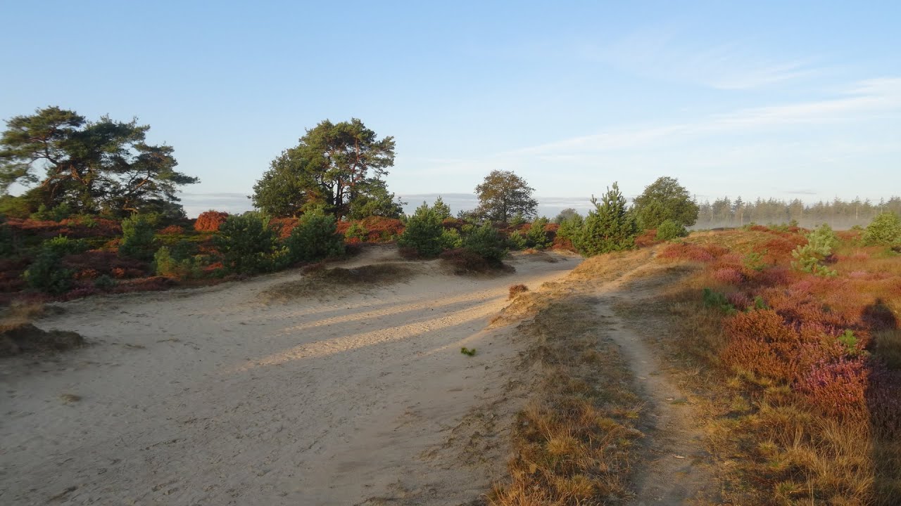Ochtendwandeling op de Kale Duinen (Aekingerzand)