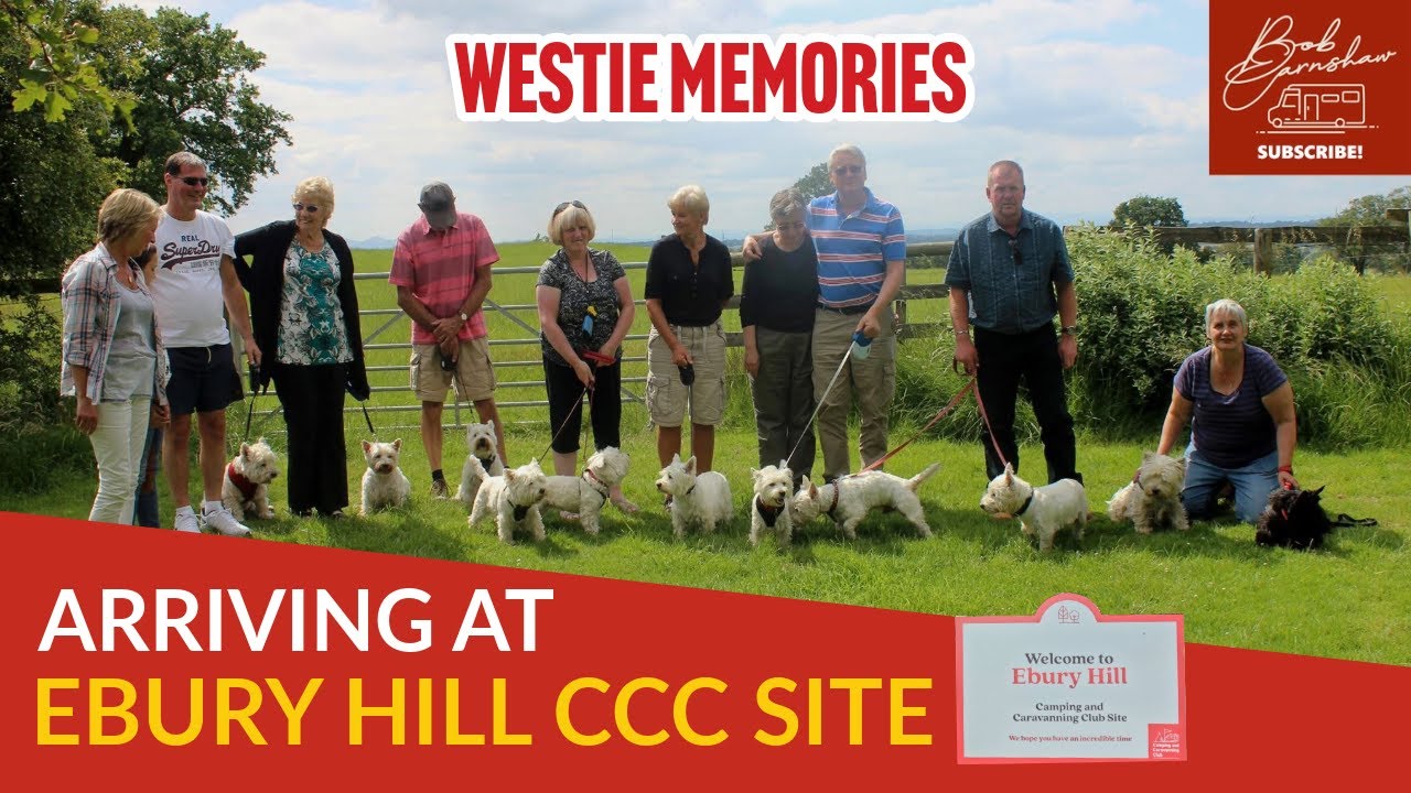 Arriving At Ebury Hill Camping And Caravanning Club Site | Westie Memories