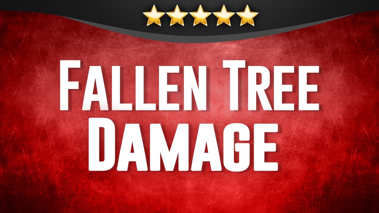 Fallen Tree Damage - (805) 962-6626