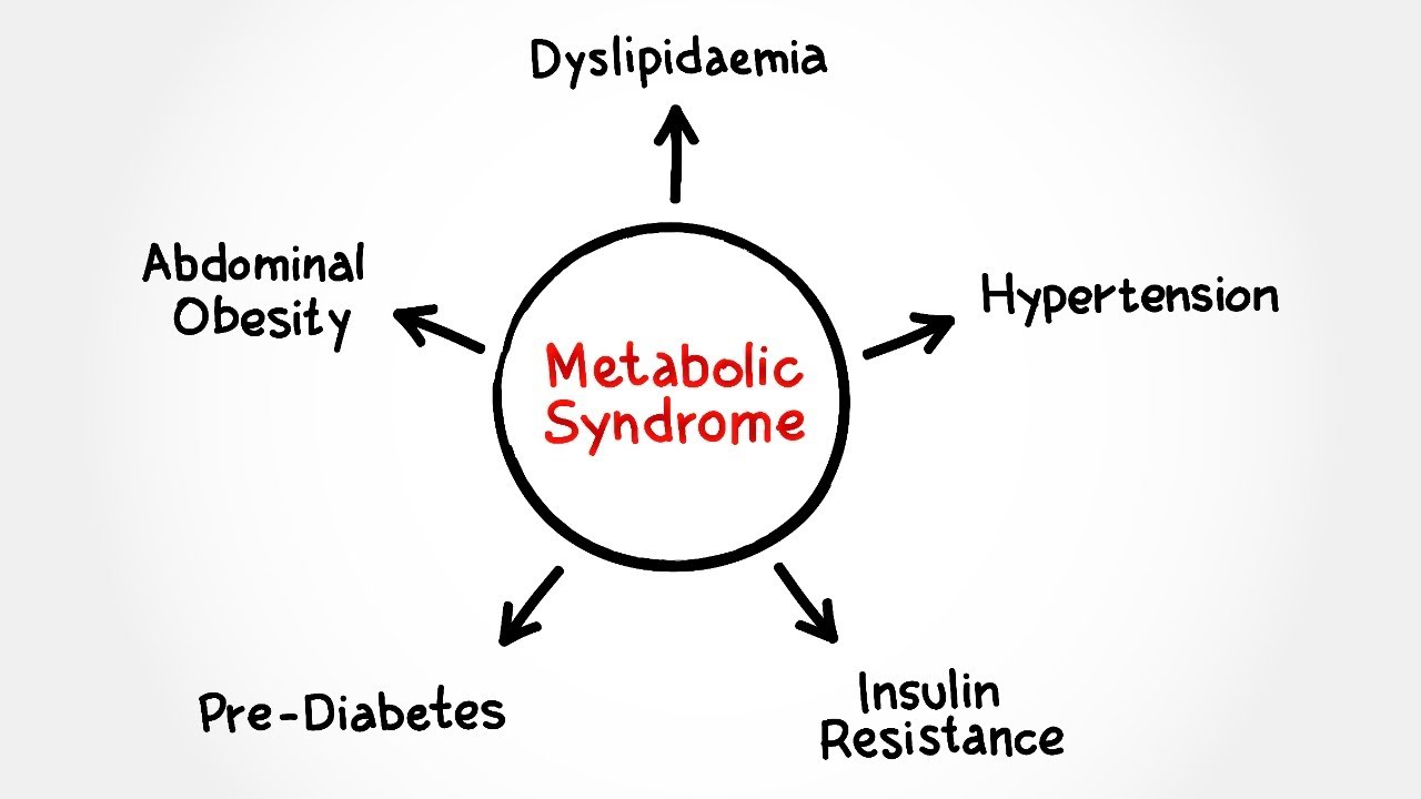 Syndrome métabolique et nutrition : quel impact ?