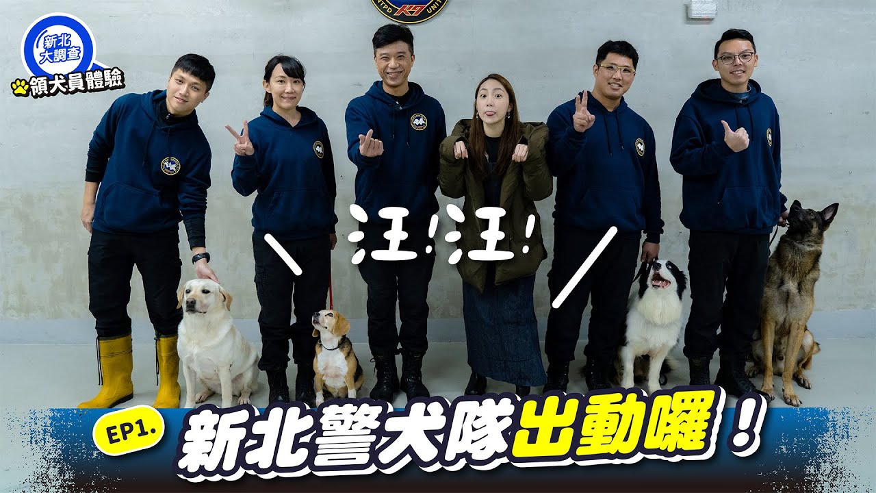 【新北大調查】新北市警犬隊出動！｜領犬員體驗｜Ep.1｜feat.小米、傑森、查理、多多