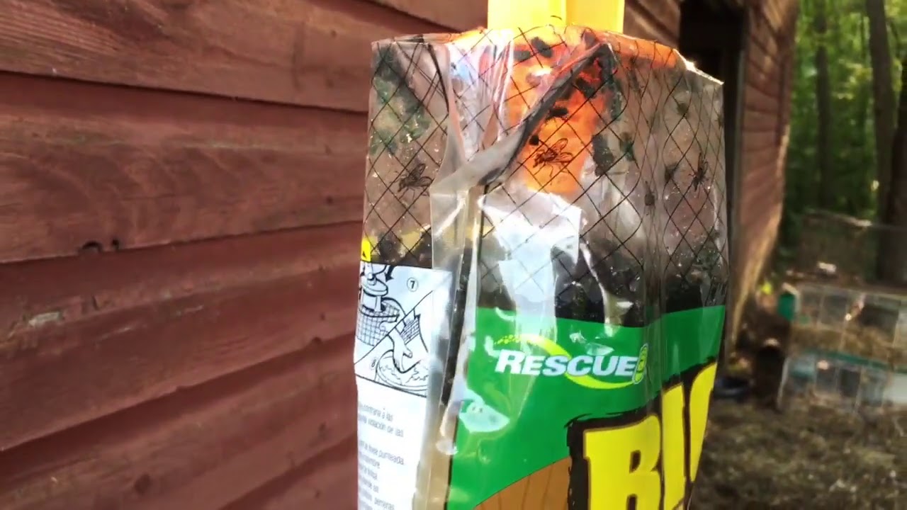 Best fly trap — The Big Bag fly trap by Rescue