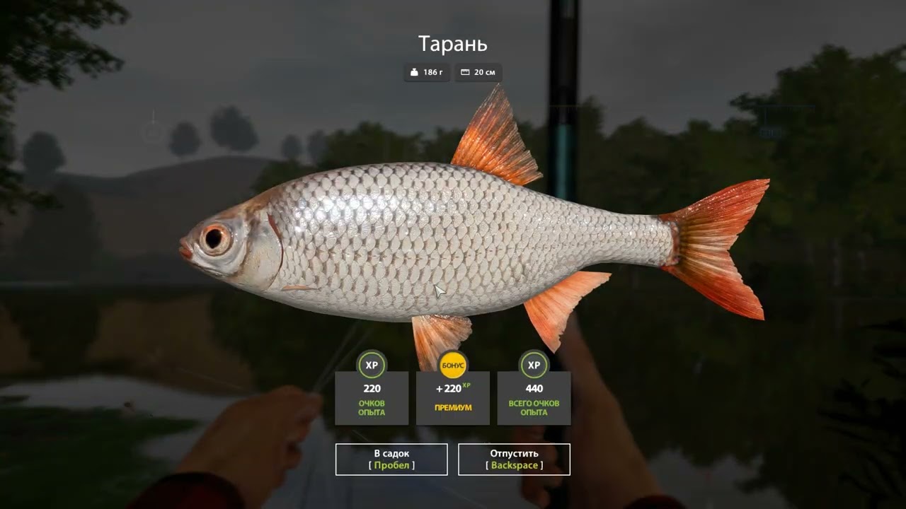 Russian Fishing 4 Ловля Тарани