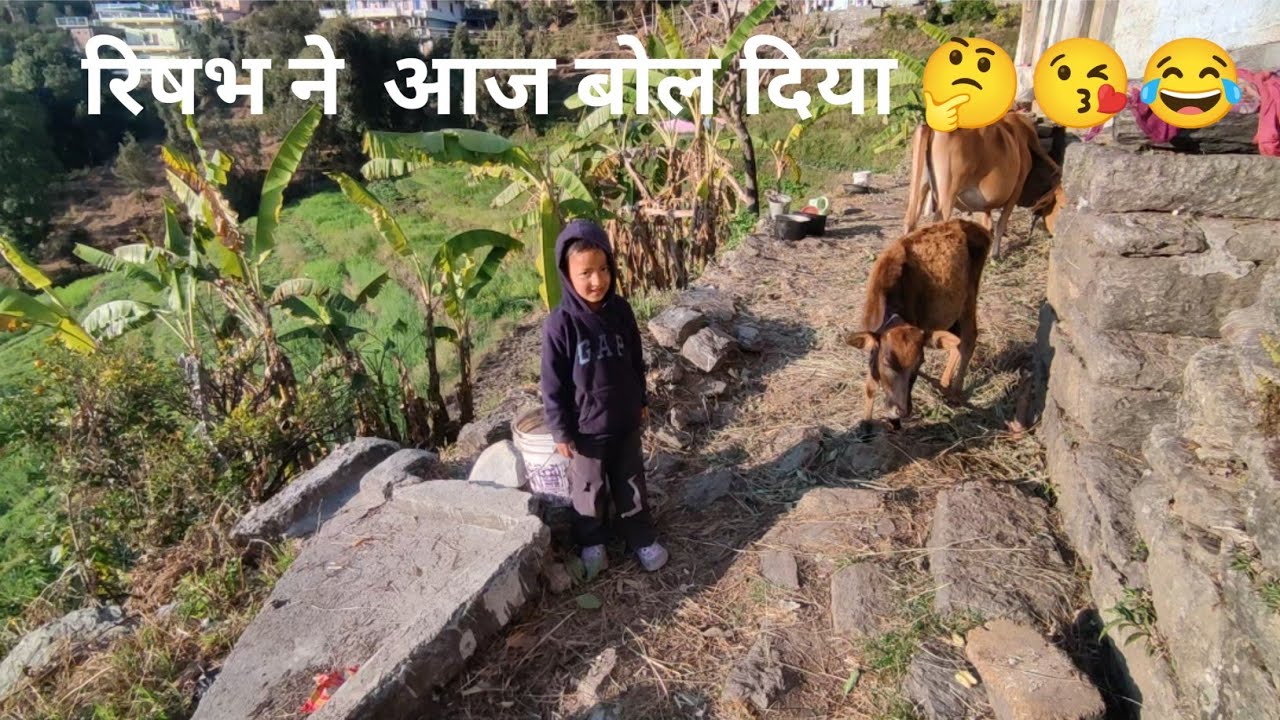 रिषभ ने आज क्या  बोल दिया 🤔|| मम्मी ने बहुत स्वादिष्ट खाना बनाया 😋chitranshi kanyal vlogs