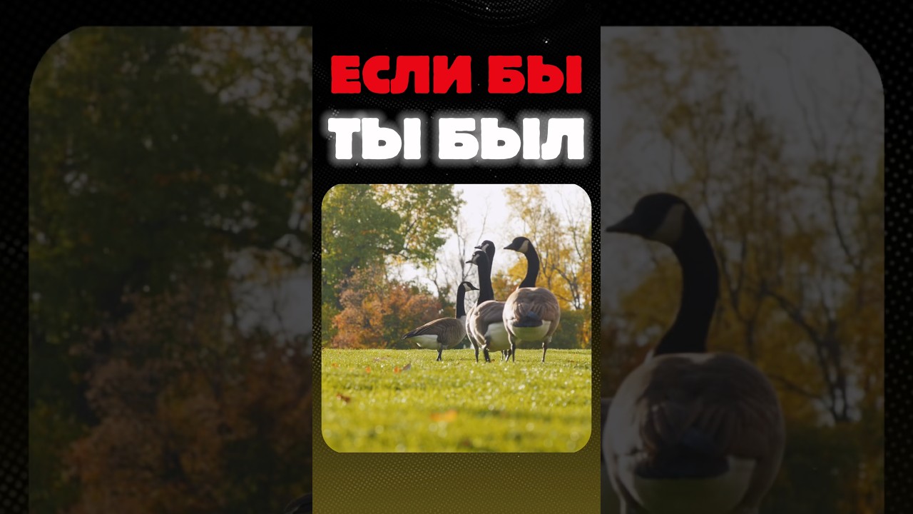Если бы ТЫ был&hellip; №2
