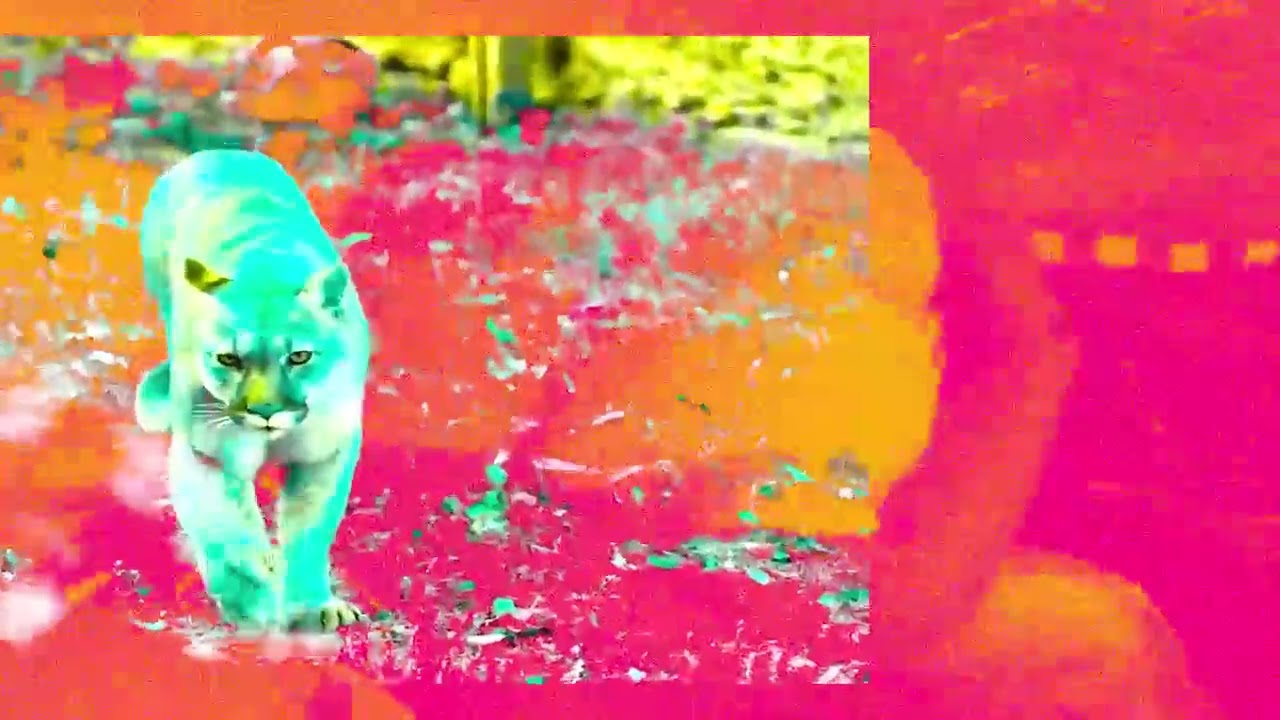 Photocopy - Wildcat (Music Video)