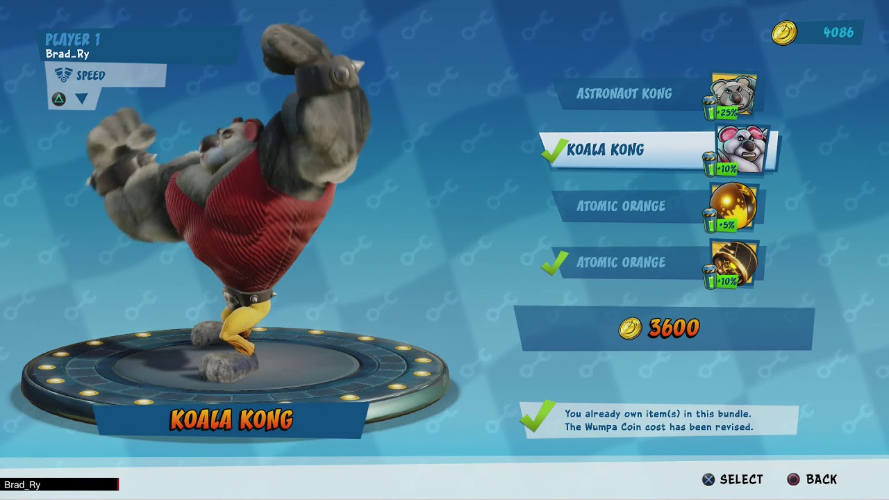 Koala Kong