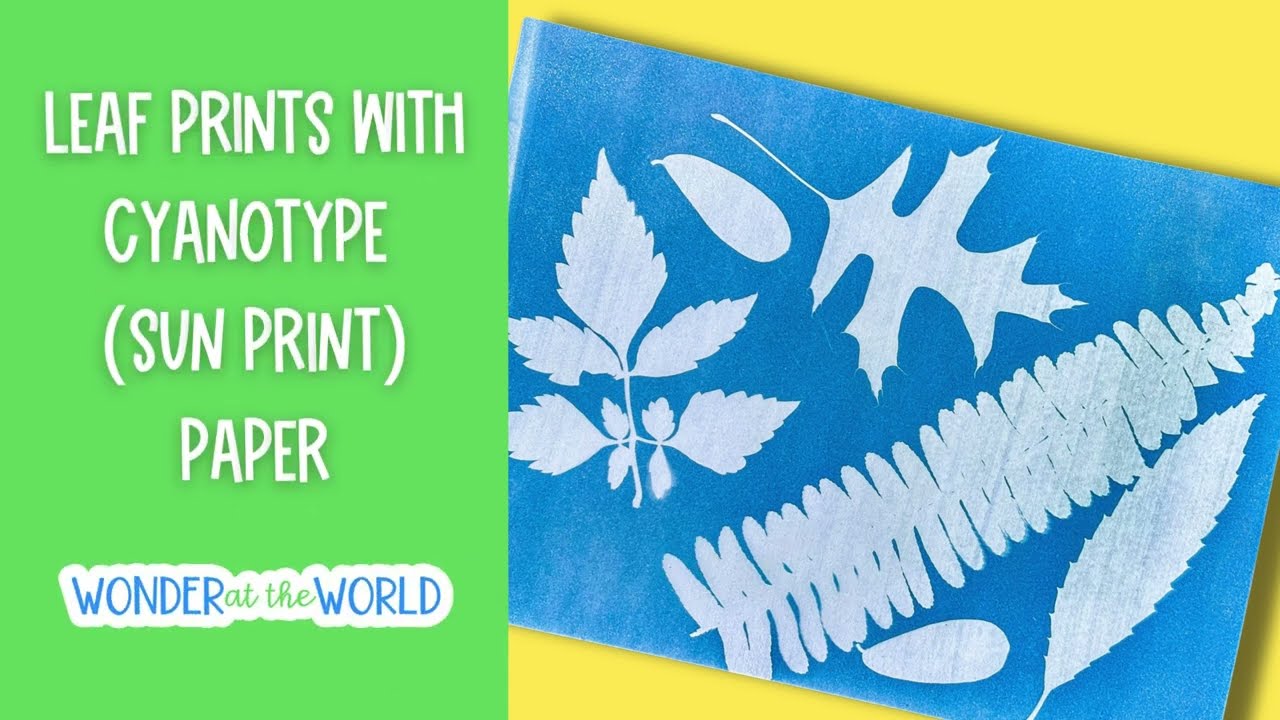 Cyanotype sun print paper activity with leaves - great for spring and summer nature studies and art