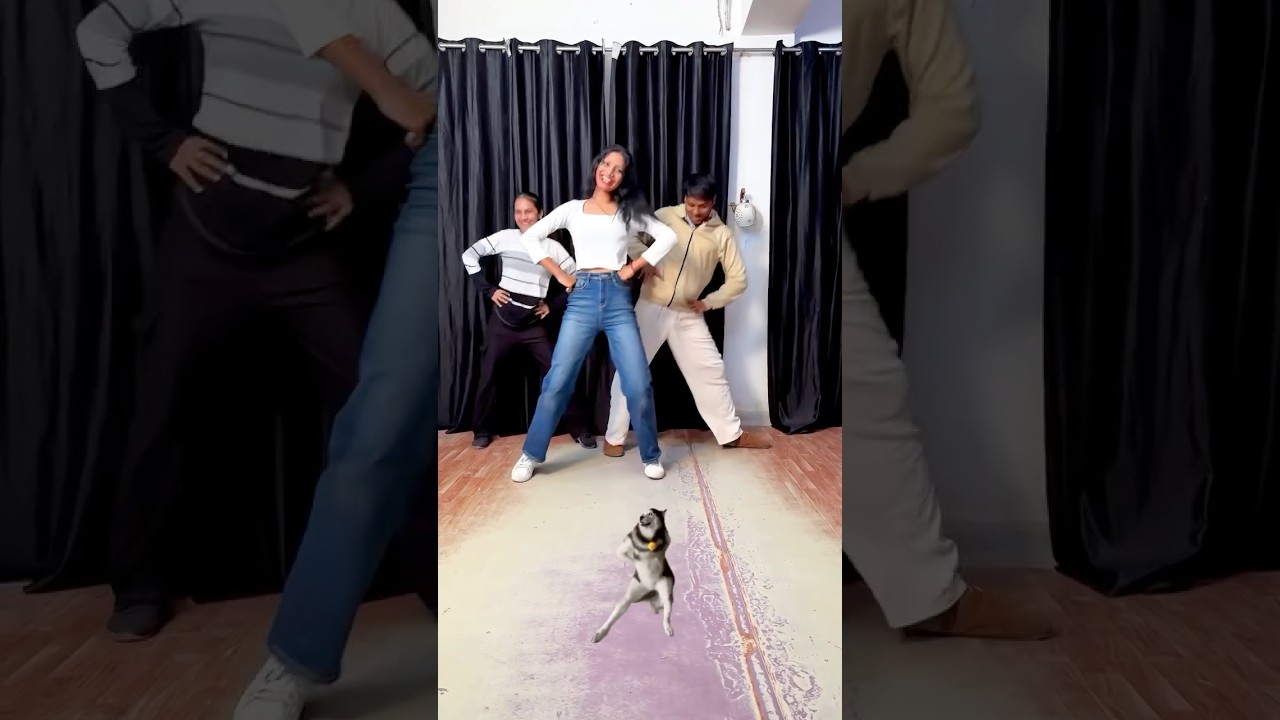 Husky dance daily | comady group | dance cover | #shorts #ytshorts