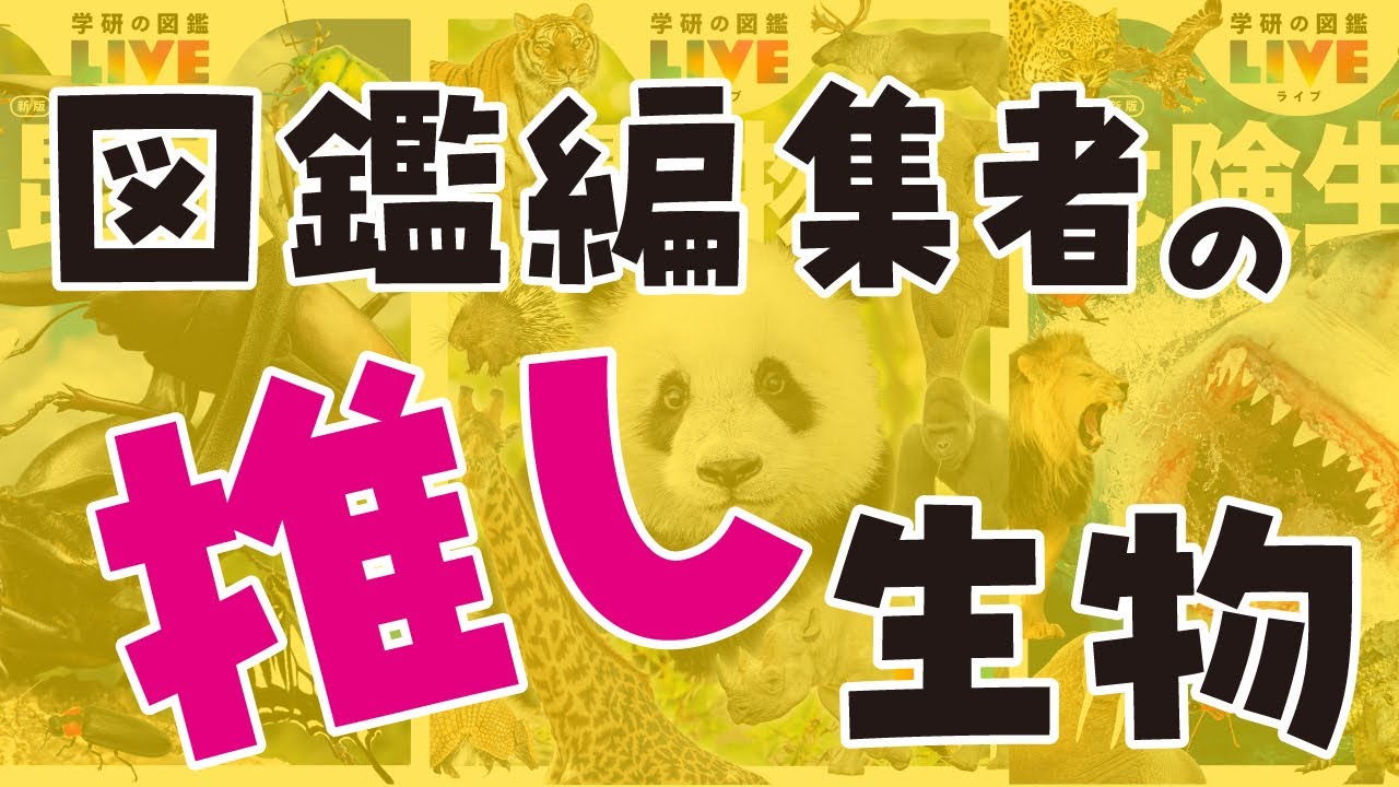 【雑談】秋を感じ始めたので、図鑑編集者たちが推しの生き物について語ったりする配信【学研の図鑑LIVE】