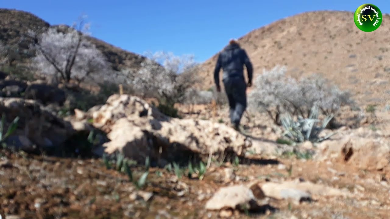 هوايات في المغرب