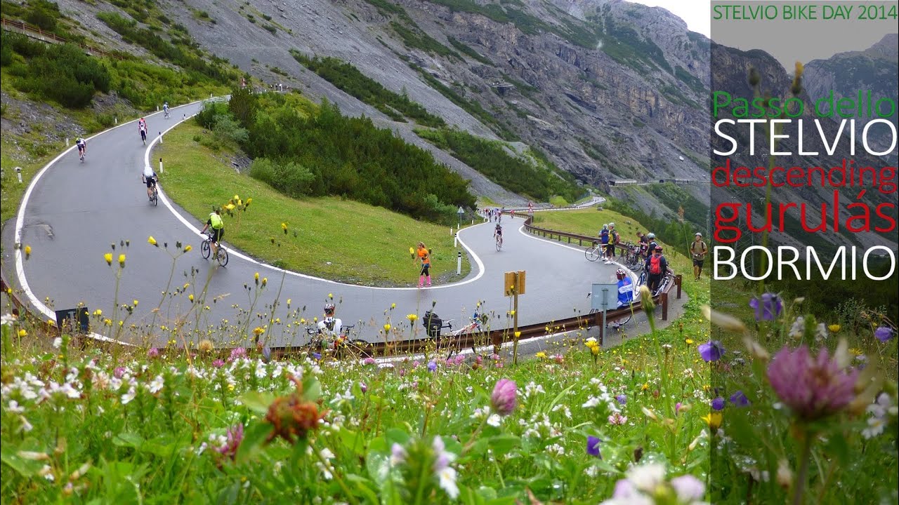 Stelvio-Bormio descending/gurulás
