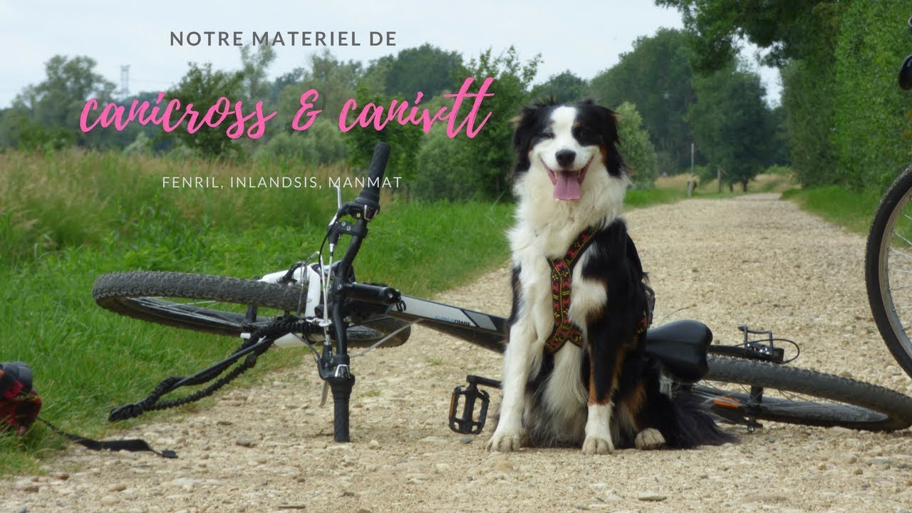 Notre mat&eacute;riel de canicross et canivtt