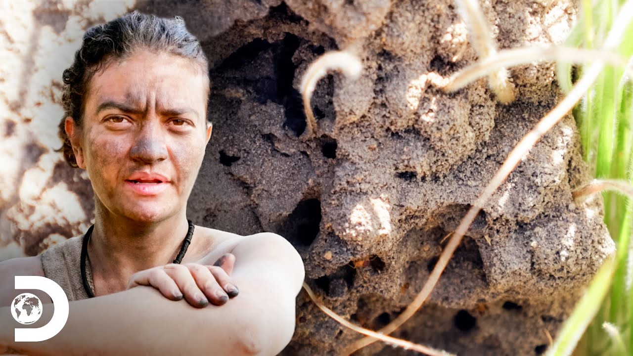 Alfredo y Victoria contra insectos |Supervivencia al desnudo: Latinoamérica |Discovery Latinoamérica