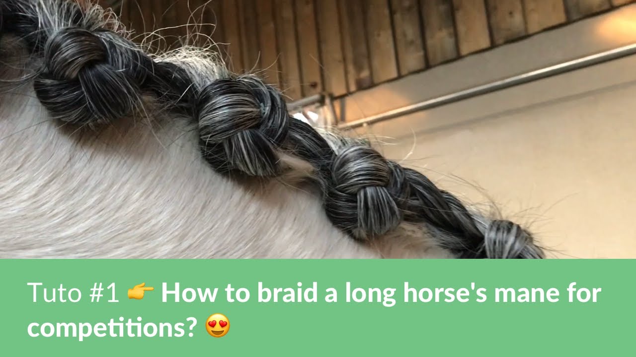#1 - Comment faire des pions sur crins longs ?