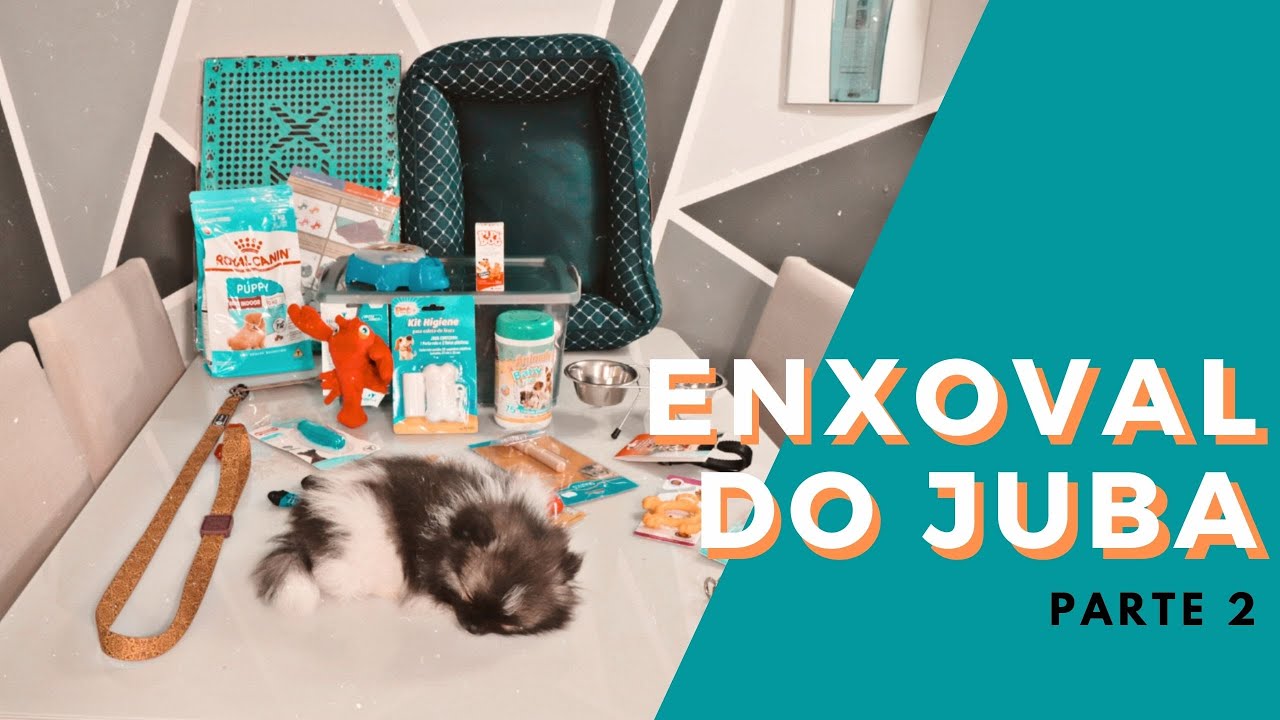 ENXOVAL PARA CACHORRO I JUBA SPITZ ALEMÃO #PARTE 2