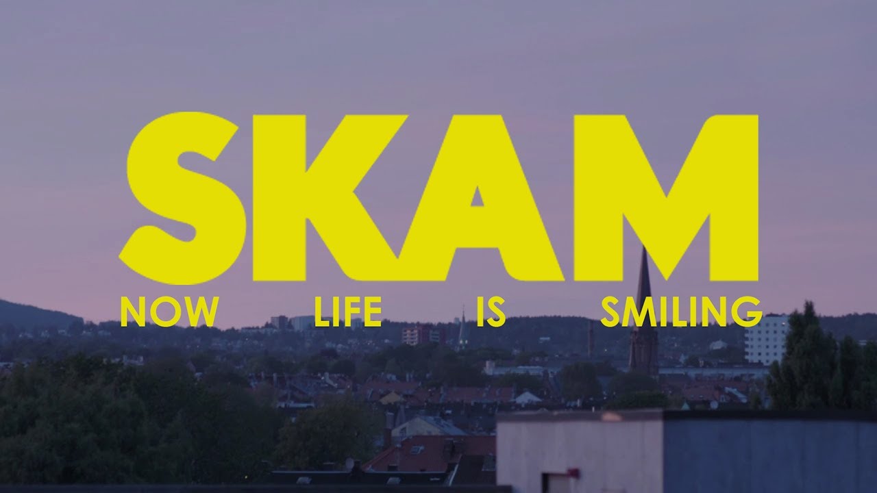 A tribute to SKAM