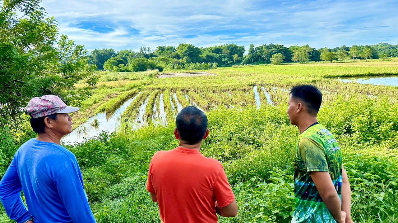 33 Years Abroad, Bakit Farming ang Napiling Retirement sa Pinas?