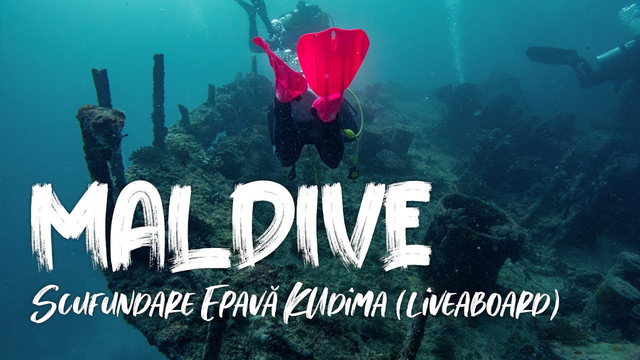 Explor&acirc;nd Epava Kudima din Maldive - Scufundare Printre Epave și Viețuitoare Fascinante!