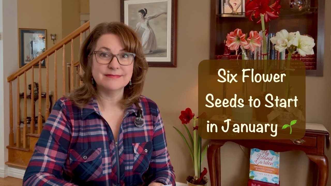 Six #FlowerSeeds to sow in #January! These few will do much better after an early start! #Zone5