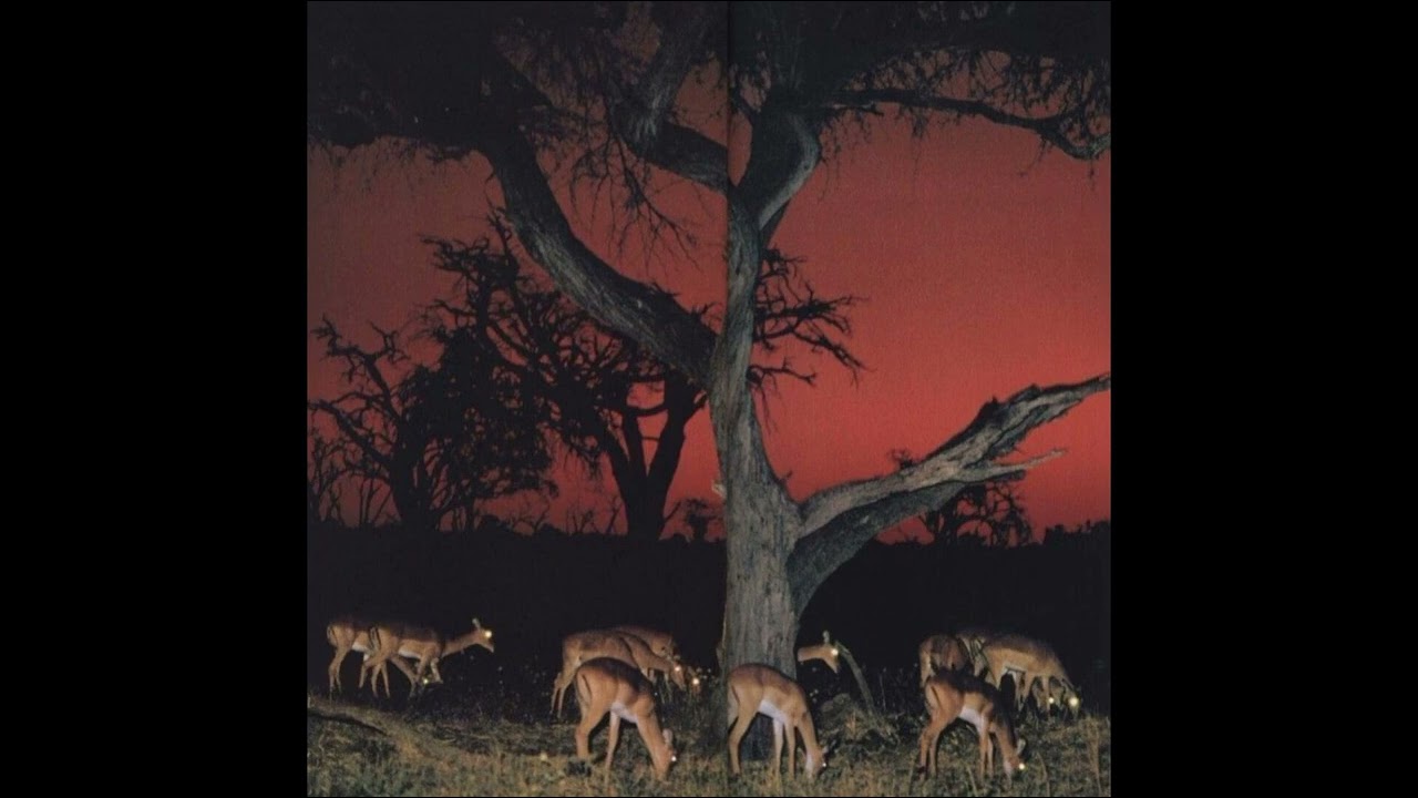 (free) alternative rock + heavy shoegaze type beat -- 