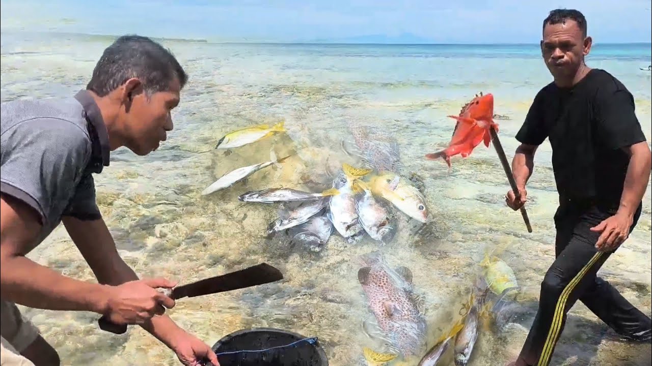 Menjelang ramadhan banyak sekali ikan terjebak ketika Air Surut | Catch & Cook