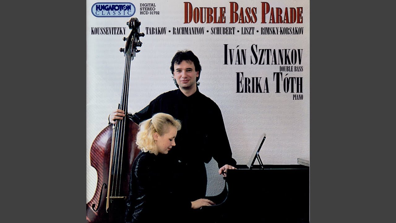Motivs for double-bass solo