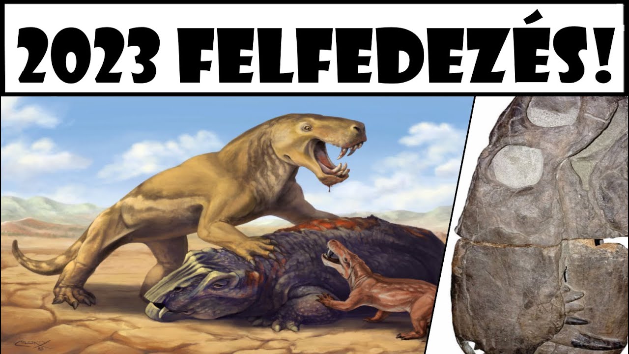 2023 Legnagyobb Synapsida Felfedez&eacute;se!?!?