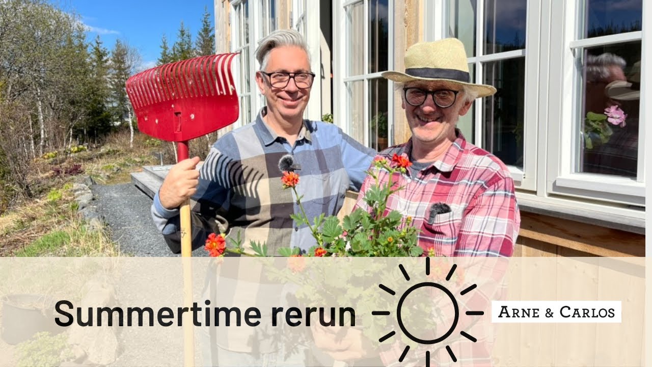 🌞 SUMMER RERUN – Back to Lofoten with ARNE & CARLOS! 🧶