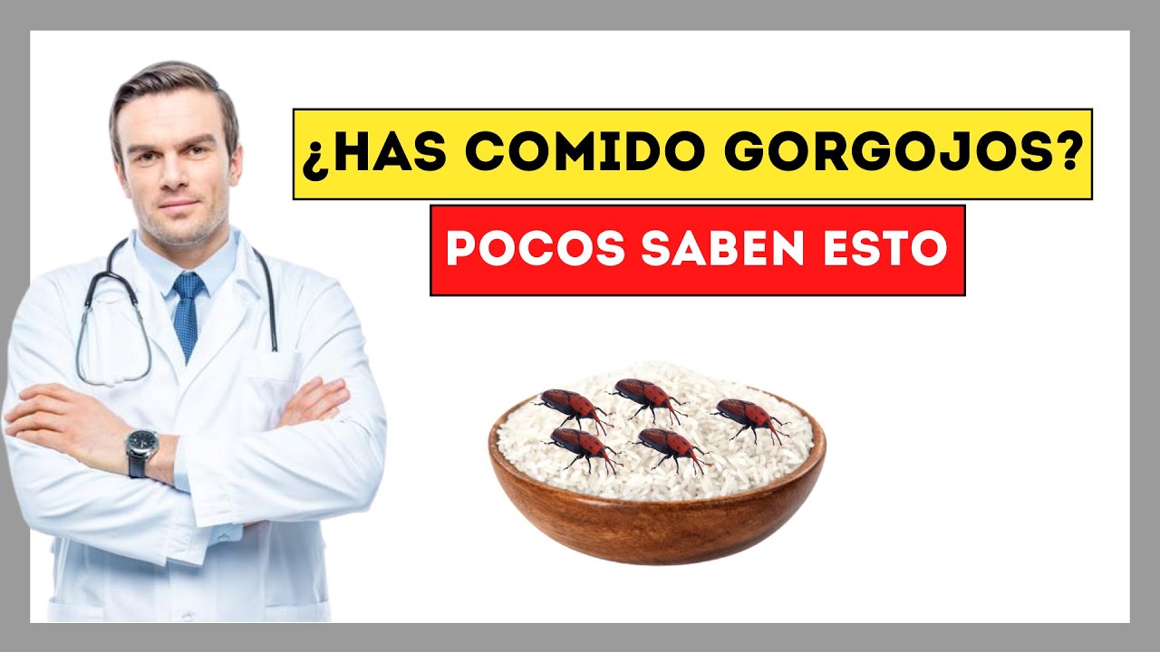 🐞&iquest;Qu&eacute; Pasa si se Come Arroz o Avena con Gorgojos? [Consejos para ELIMINARLAS!!]