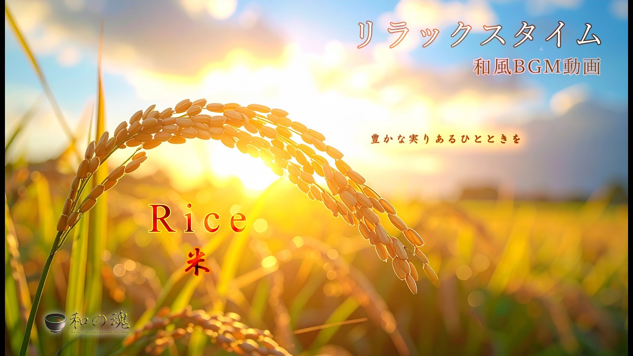 【和のBGM🎵】「米」- Japanese Rice -