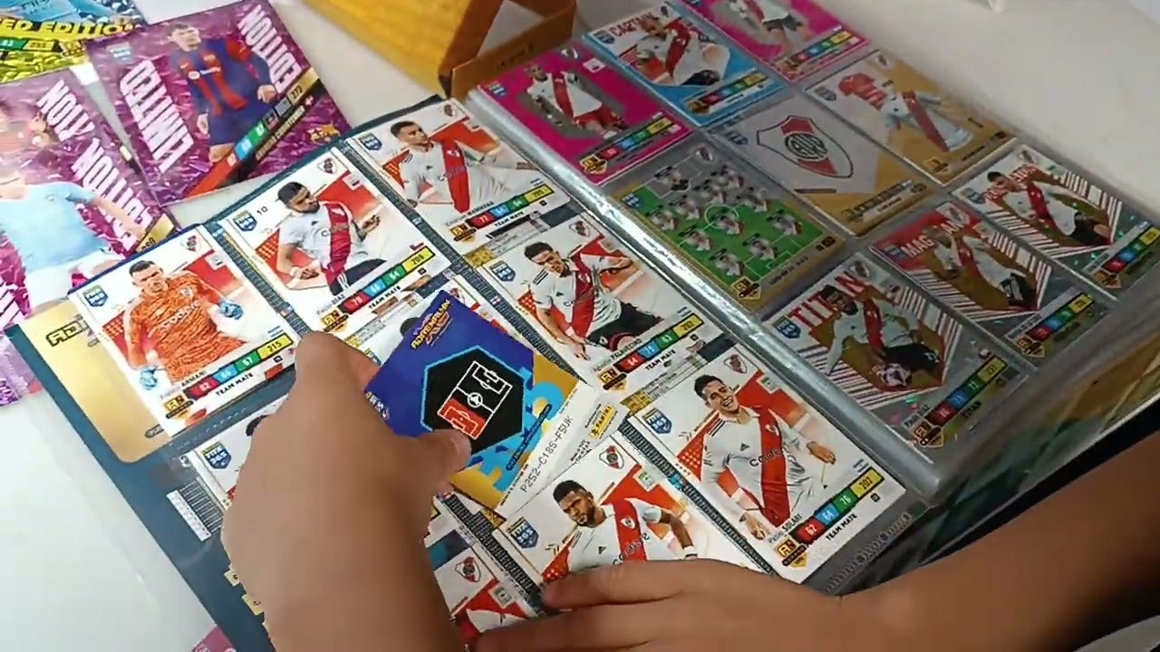 Panini mail! 2 albums completed!! (bonus Limited edition!)