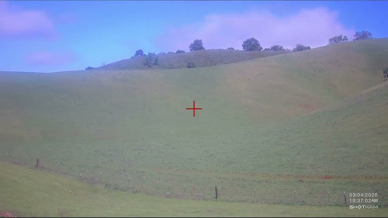 3-4-2026 Coyote Valley Sporting Clays Skeet w/Browning 825 Pro Master by Seamus Murray