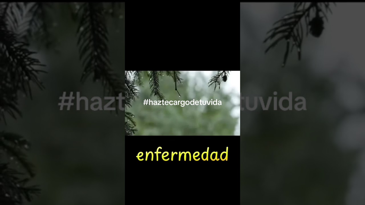 Patrones de conducta 