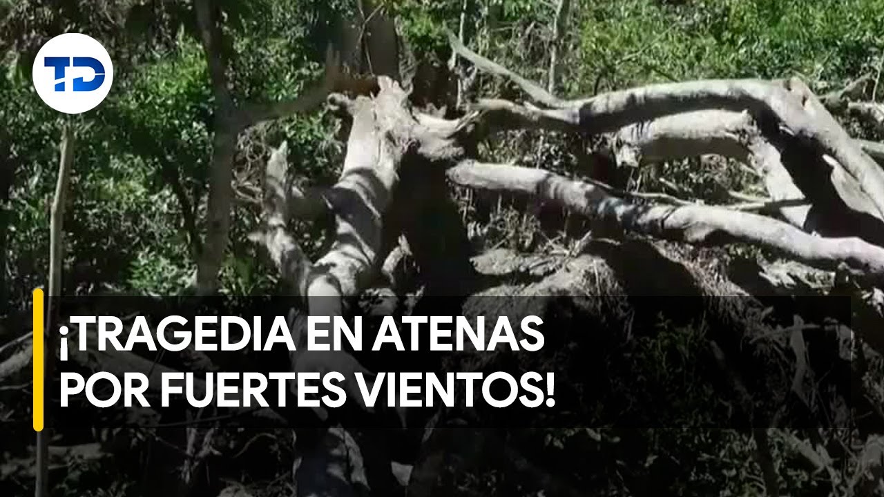 Fuertes vientos cobran una vida en Atenas