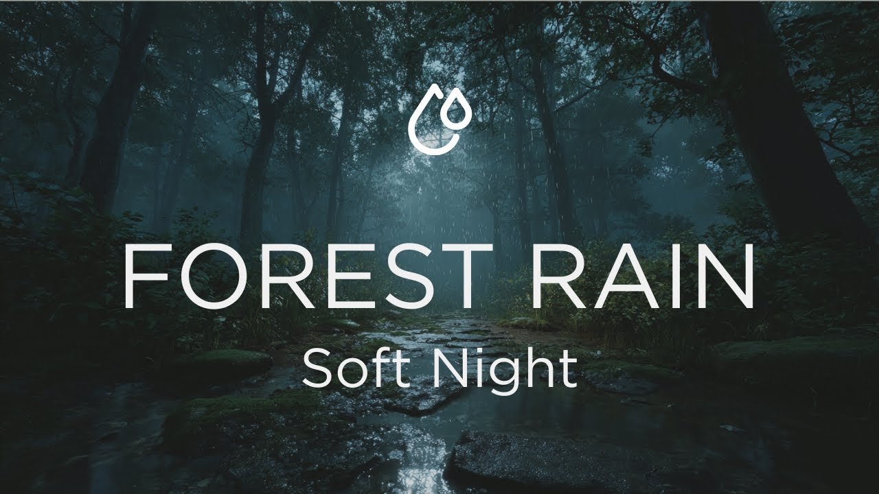 Forest Rain - Soft Night (Black Screen, 10 Hours) // Long-Form Ambient Soundscape