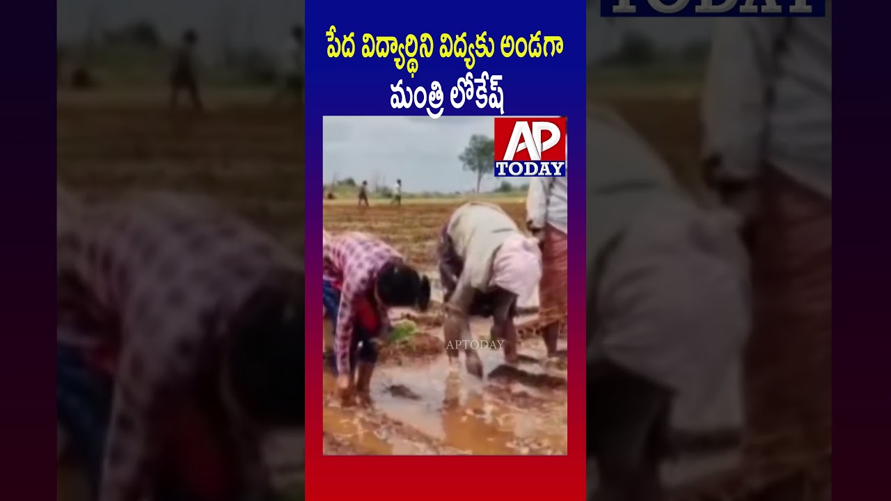 Minister Nara Lokesh Supports Poor Student's Education | #naralokesh  #educationforall #shorts #ap