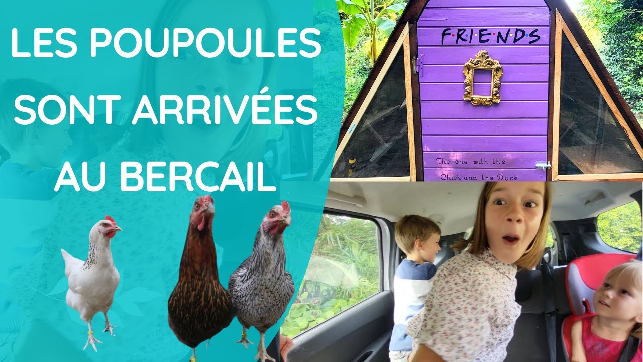 Construire un poulailler en A 🐔