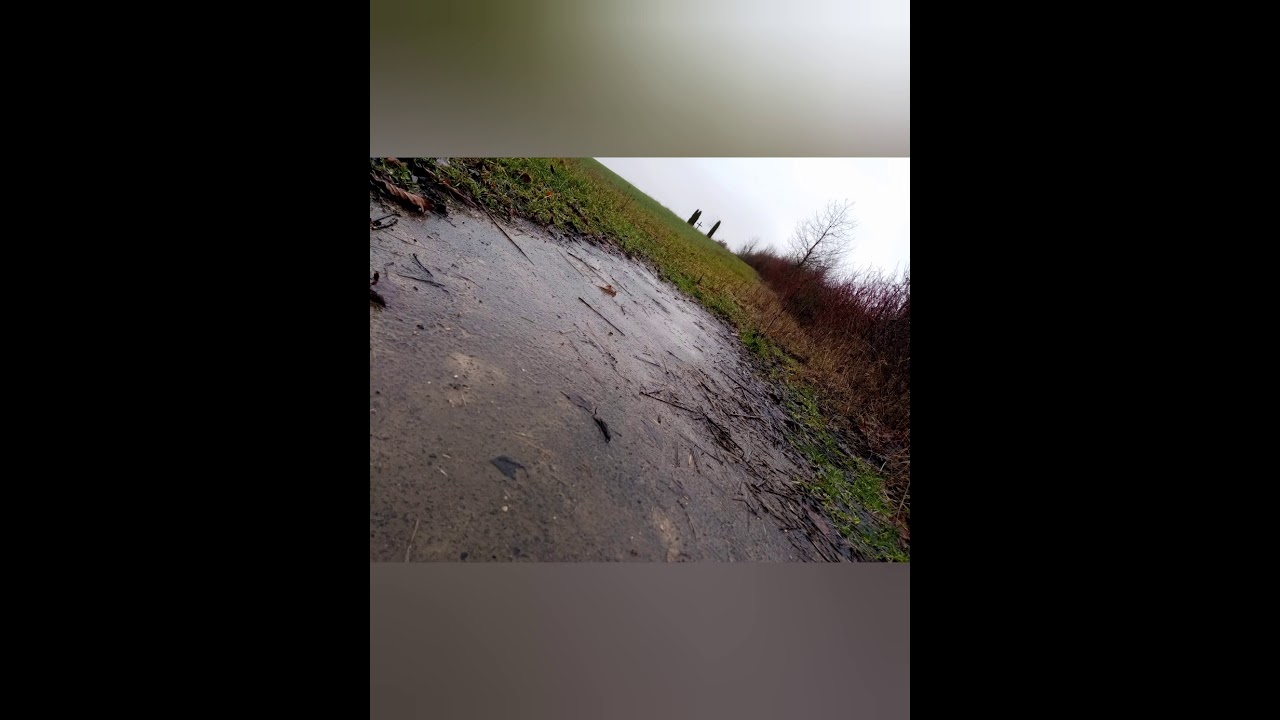 Von Windesheim aus auf dem Feldweg Richtung Guldental