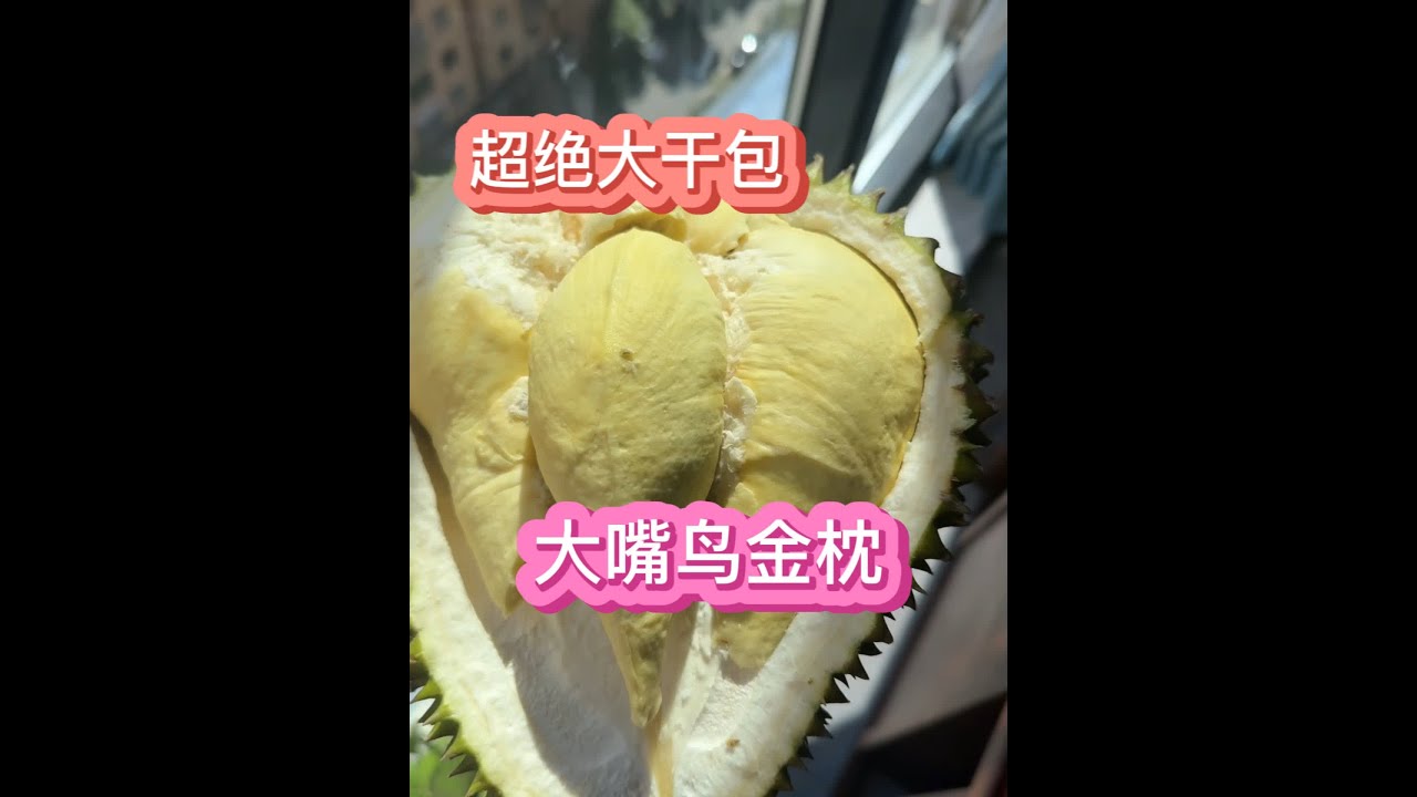大嘴鸟大脆皮干包#美食 #抖音美食推荐官 #美食趣胃计划#粉婷木子米线