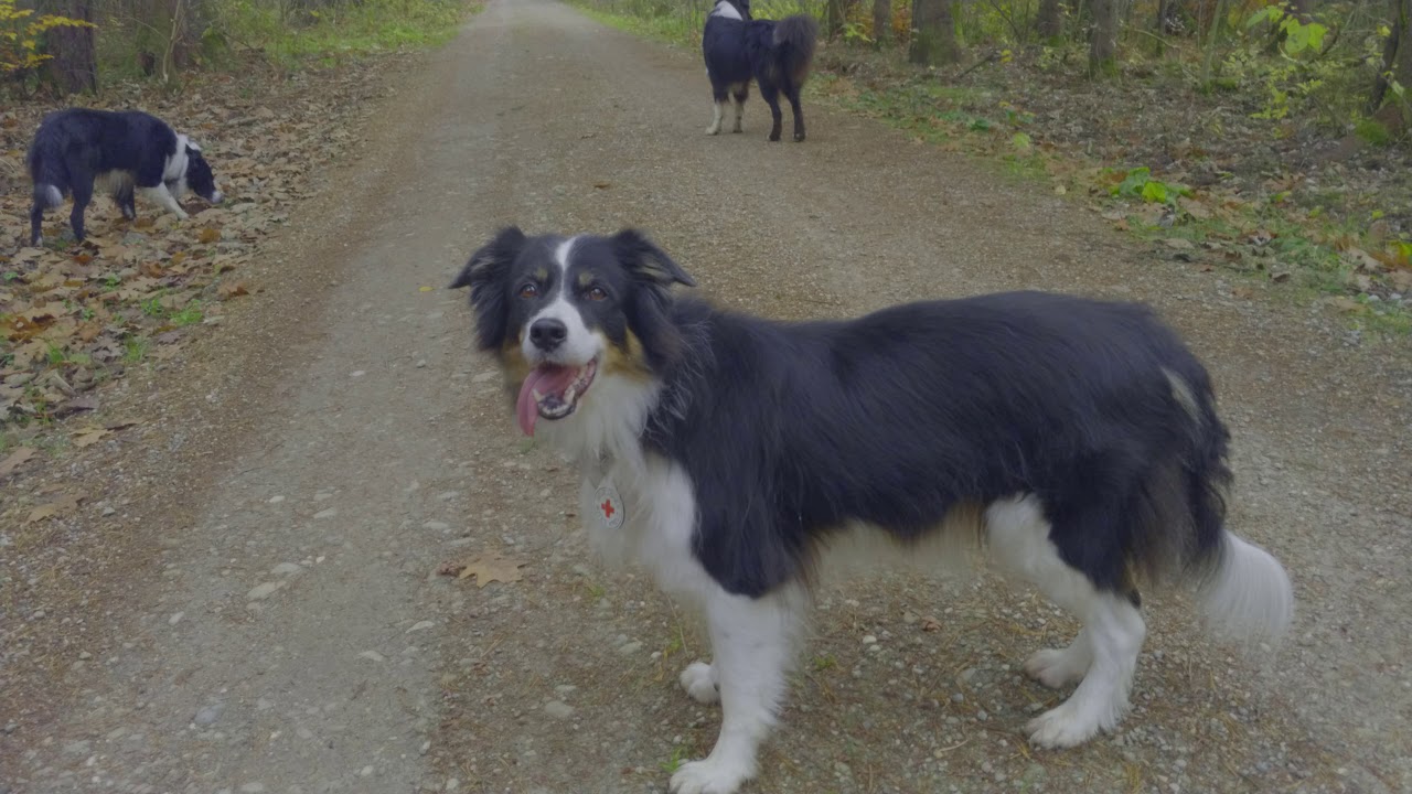 LG V30 Cine Log Video Sample RAW