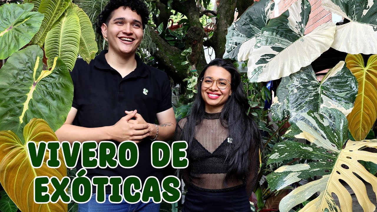 Vamos al vivero de un amigo repleto de plantas exóticas, raras, bonitas y gigantes │Candy Bu