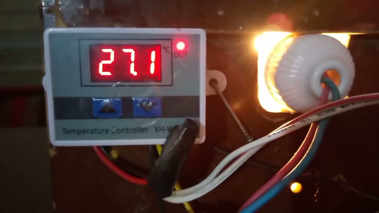 كيفية صنع فقاسة بيض منزلية صغيرة نظرياً وعملياً