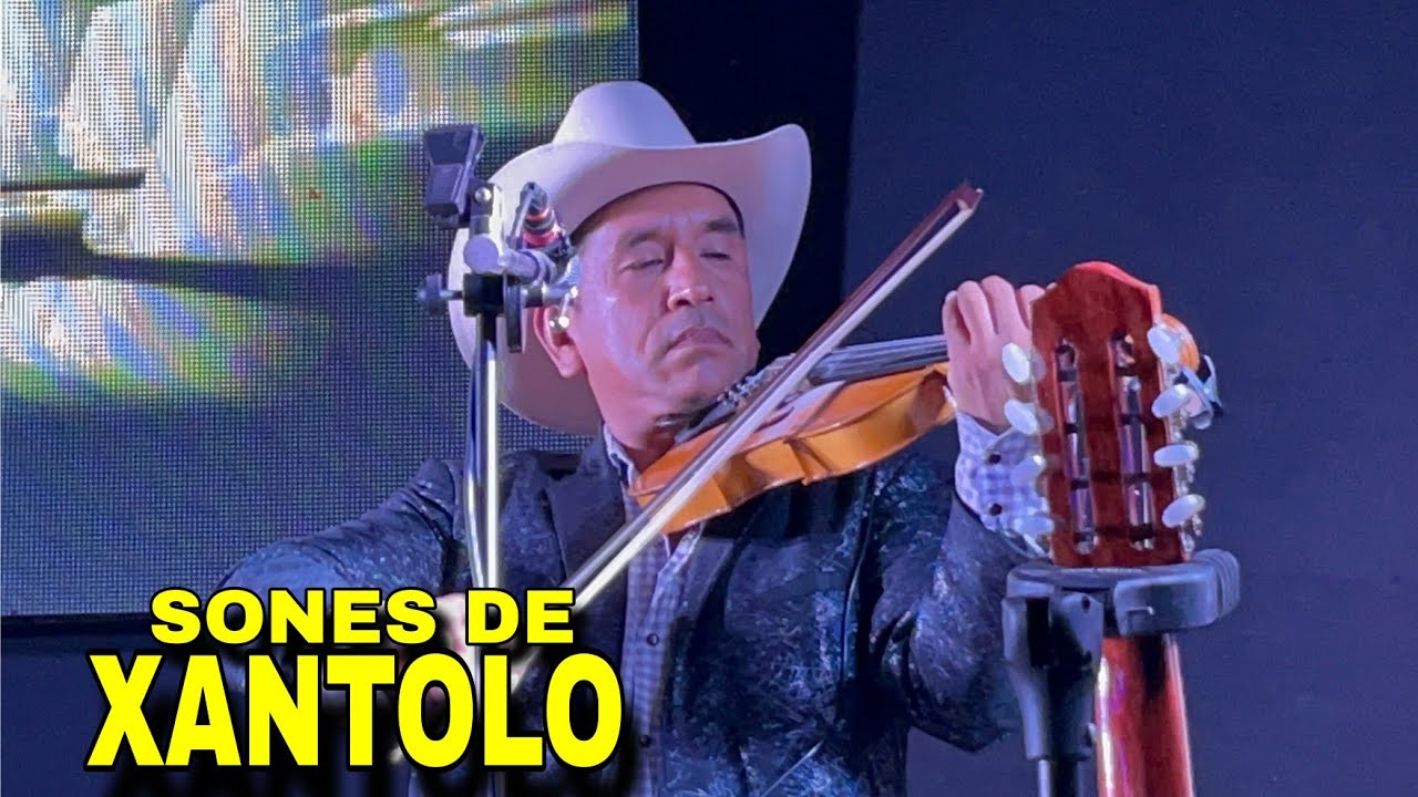 Iniciando Con Sones Xantoleros 2024 - TRIO LOS MONROY De La Sierra En Vivo