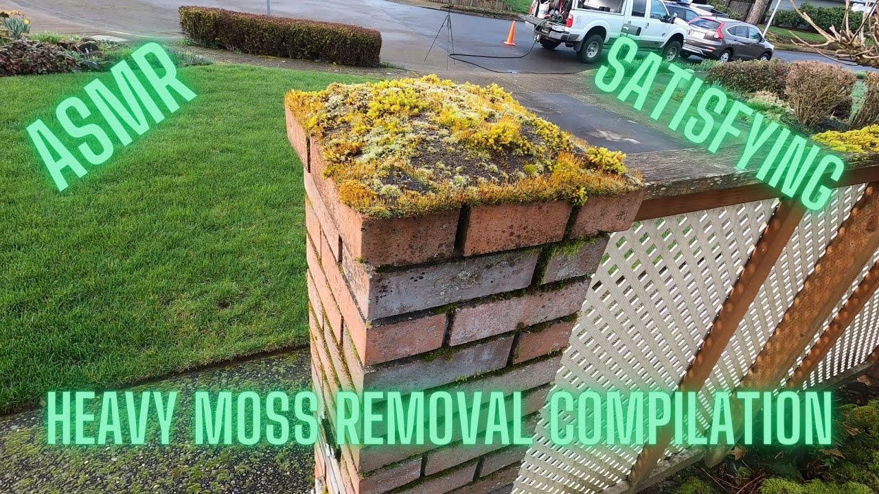 Pressure Washing ASMR compilation. Extremely Satisfying. #ASMR, #pressurewashing, #compilation,