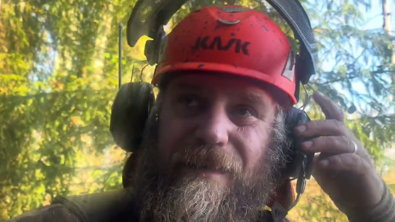 Ingen rolig dag att hugga p&aring;. Bl&ouml;tt och tr&aring;ngt i skogen
