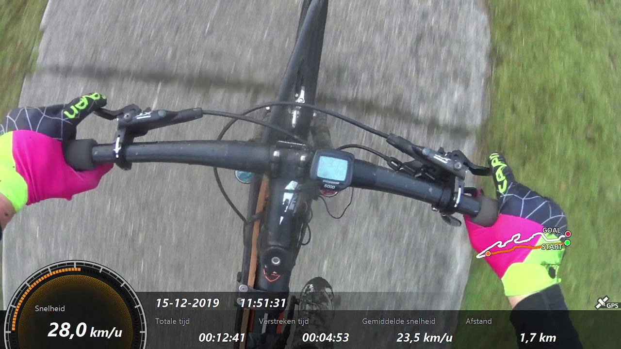 CCNL Bruinisse 2019 Red bikejoring